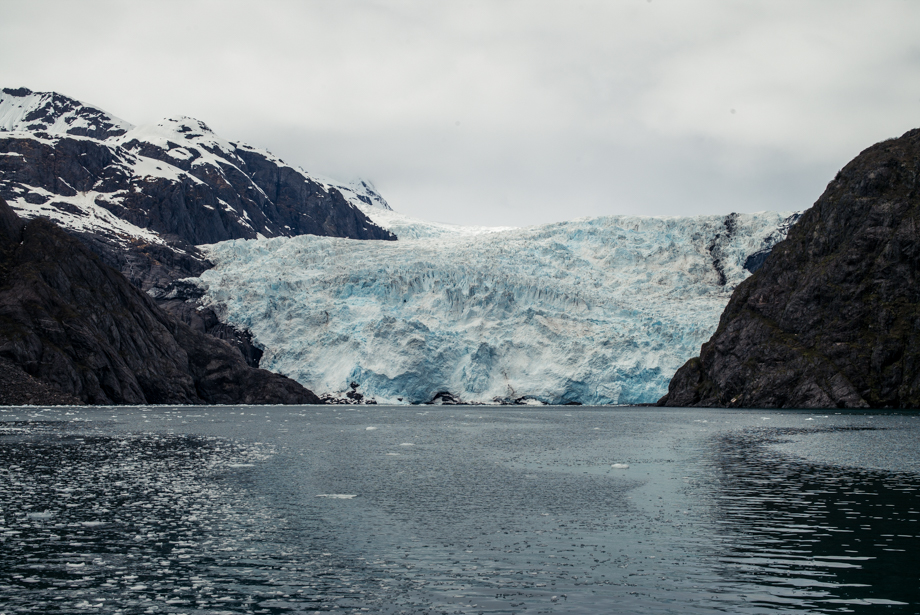 seward alaska glacier cruise holgate glacier