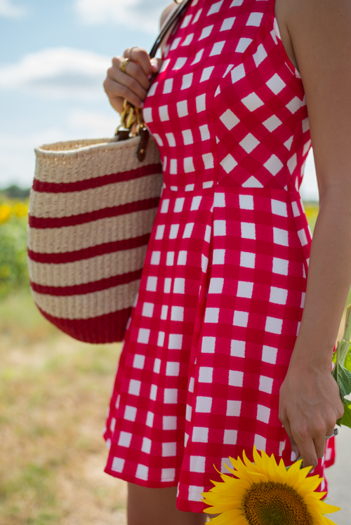 gal-meets-glam-red-gingham19