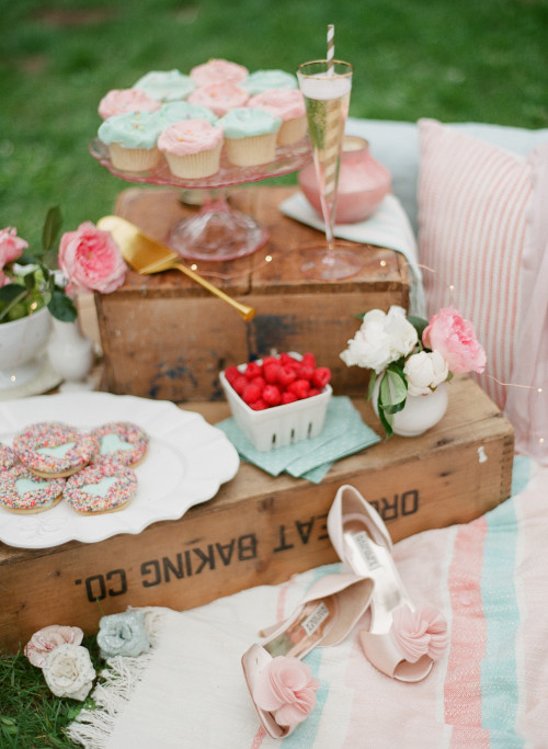 Pink Picnic with Champagne & Cupcakes 