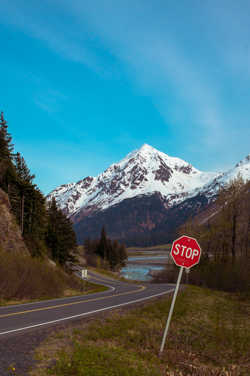 exit-glacier-creek-stop-sign