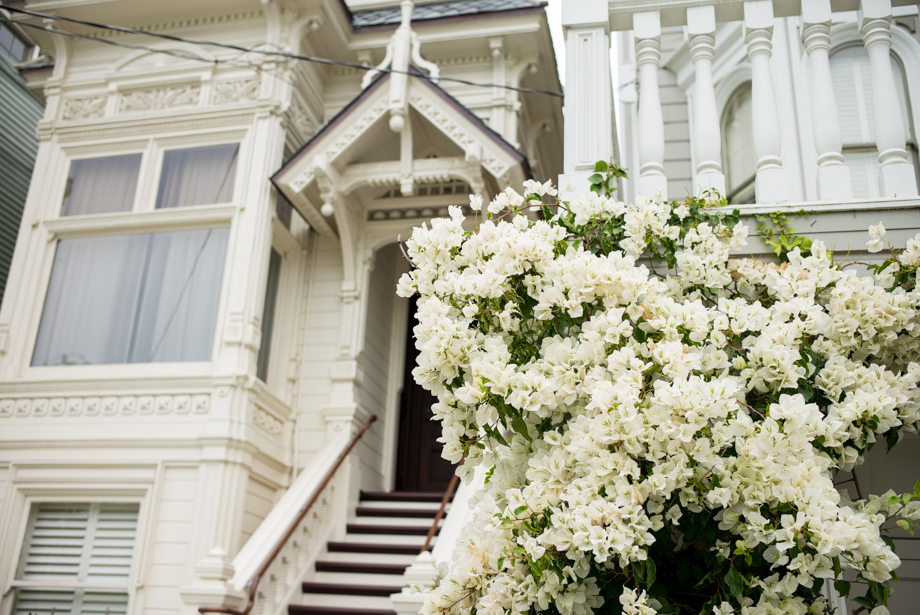 White home + flowers in San Francisco 