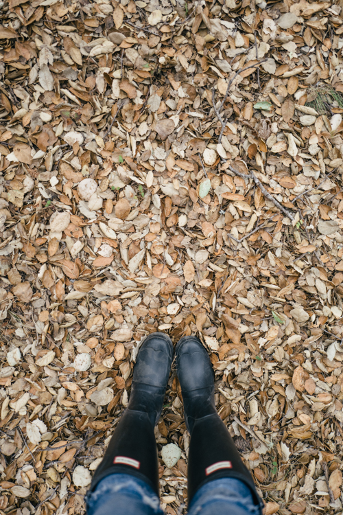 Hunter Boots in Fall Leaves